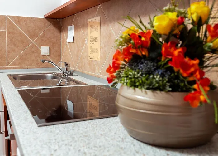 布丁膳食公寓 2*